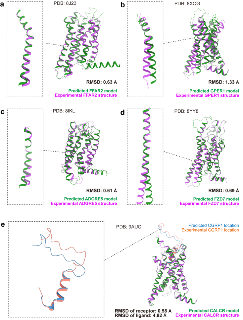 Acta Pharmacol Sin| 上海药物所评测AlphaFold3的GPCR-配体复合物预测表现能力显示实验结构的必要性