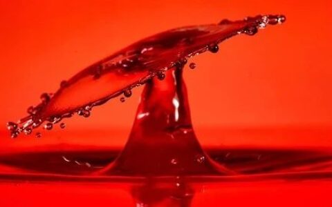 2025年，BioTech的首个股价暴跌出现！跌幅超过80%