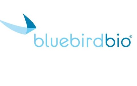 曾经估值高达100亿美元，bluebird bio公司将被私募股权公司以2900万美元收购