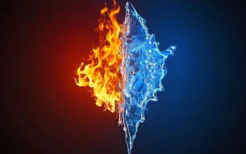 特朗普时代，NewCo模式危矣！