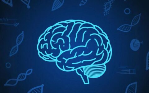 首次！中国初创企业实现CRISPR疗法脑内注射