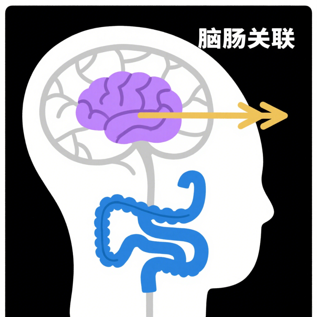 备受争议的脑肠轴有了新突破：大脑活动速变肠道菌群，瘦素是关键
