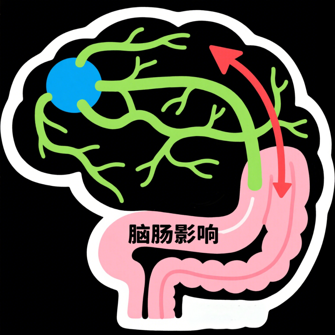 备受争议的脑肠轴有了新突破：大脑活动速变肠道菌群，瘦素是关键
