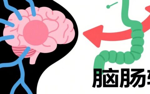 备受争议的脑肠轴有了新突破：大脑活动速变肠道菌群，瘦素是关键