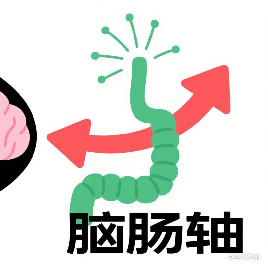 颠覆认知：大脑并非免疫“禁区”，肠道T细胞竟是“信使”