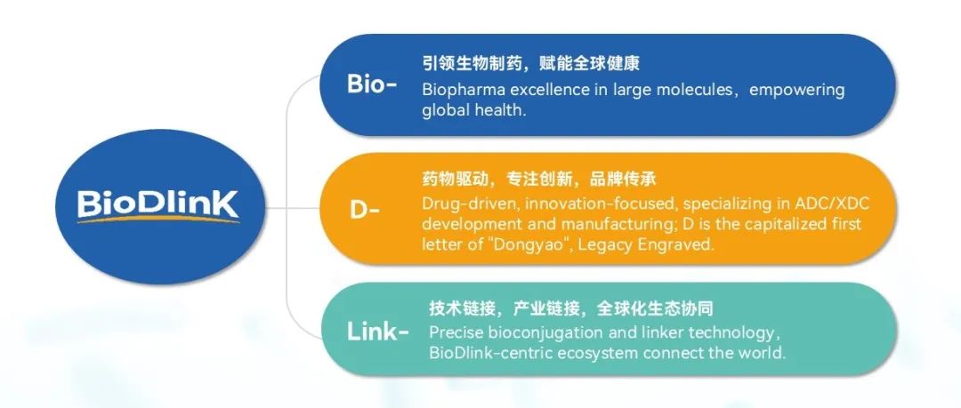 2025东曜药业私董会：让中国方案，成为全球答案！