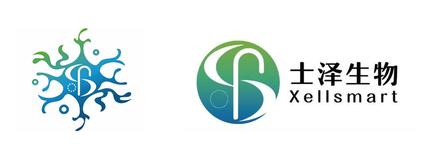 国内通用细胞治疗帕金森病领军药企数月内再获数千万元市场化融资！