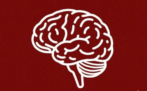 必看！2025年阿尔茨海默病协会国际会议重磅盘点