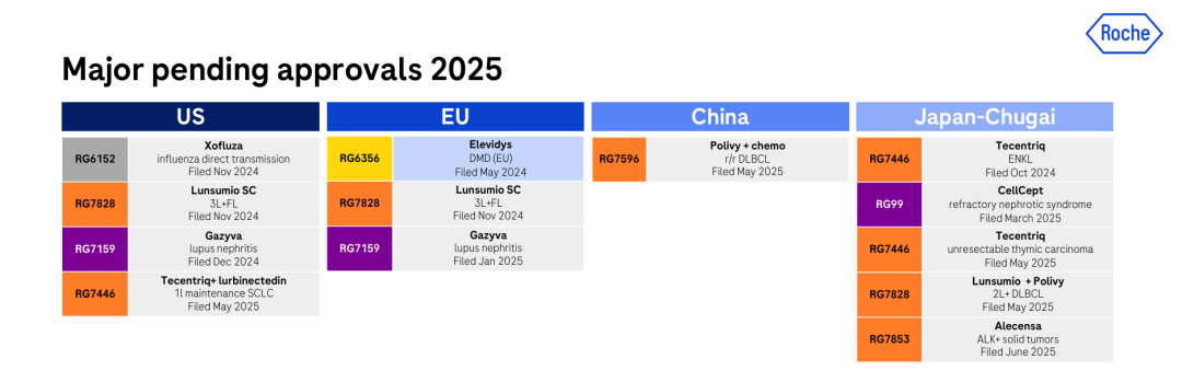 373亿美元！罗氏公布2025H1财报