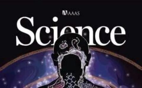 生物进化开启"快进模式"：科学家打造10万倍速蛋白质进化引擎
