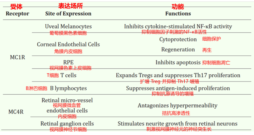 万邦德原研药MCR环肽开辟糖尿病视网膜病变多通路治疗新策略，突破抗VEGF药物局限进军潜在数百亿新赛道