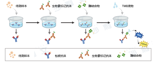沙利文发布《2025线粒体医学行业发展现状与未来趋势白皮书》