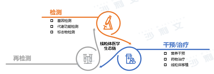 沙利文发布《2025线粒体医学行业发展现状与未来趋势白皮书》