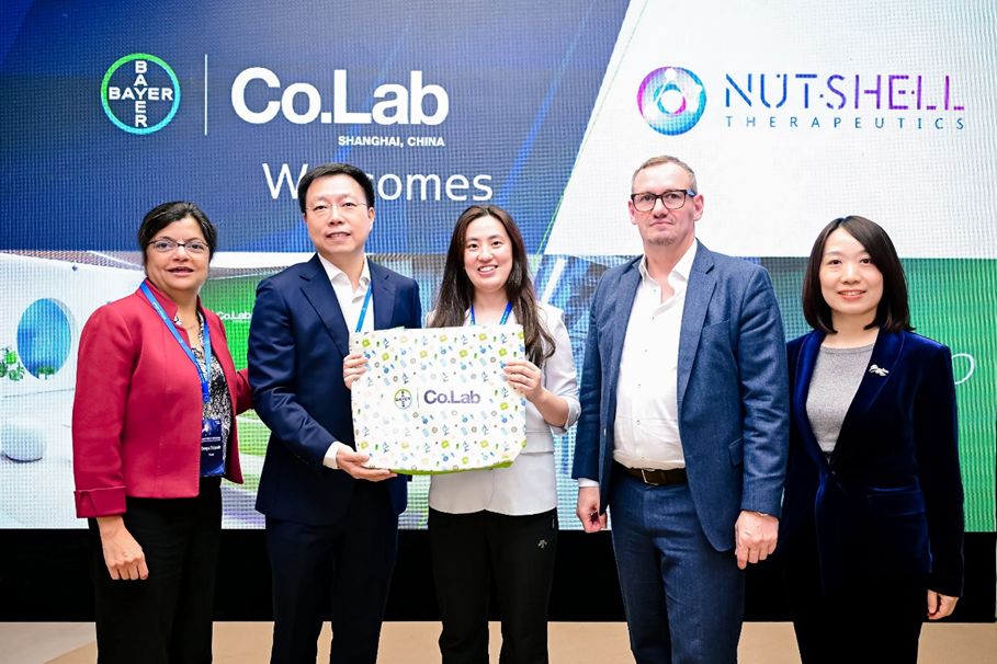 这6家中国药企，将获得拜耳的多重奖励和专属权益！