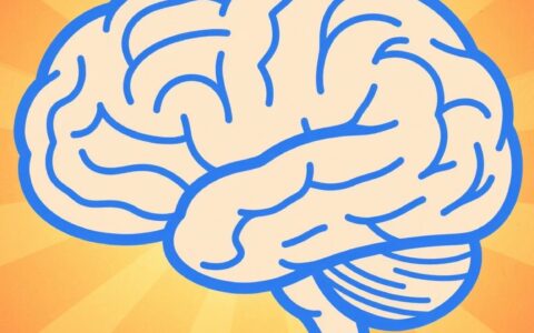 20.55亿美元！罗氏加码透脑递送技术，突破CNS瓶颈