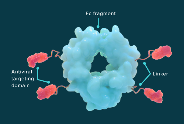 超33亿美元！默沙东拟收购Cidara