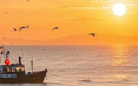 超8.6亿美元！斯丹赛CAR-T出海