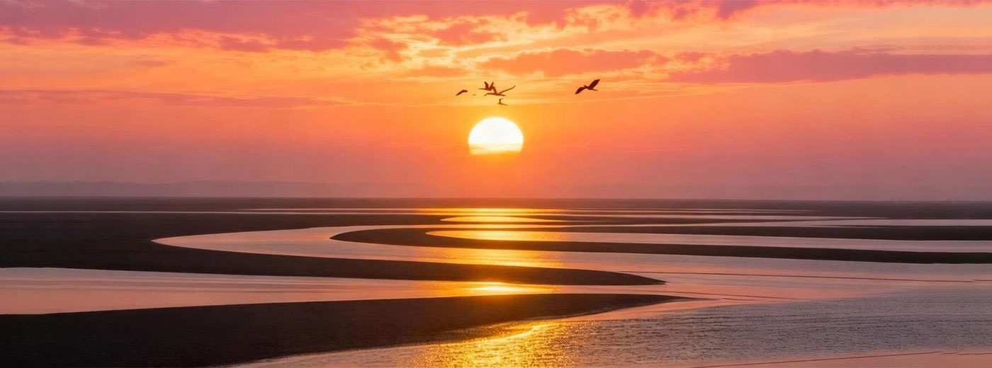 破晓2026：全球生物科技复苏，中国创新引领新浪潮