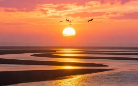 破晓2026：全球生物科技复苏，中国创新引领新浪潮