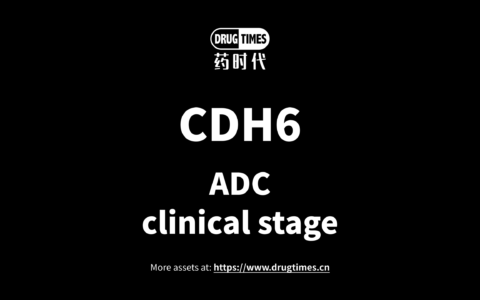 【Asset for Licensing】Novel CDH6-targeted ADC conjugated with TOPO1 inhibitor payload
