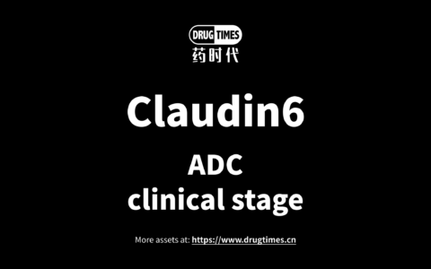 【Asset for Licensing】Novel Claudin6-targeted ADC armed with optimized TOPO1 inhibitor payload
