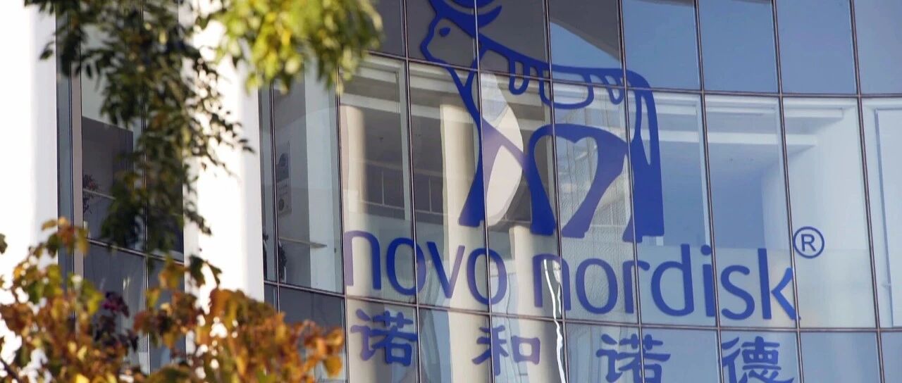 不止寻找项目，更寻找伙伴——诺和诺德研发外部创新战略全景