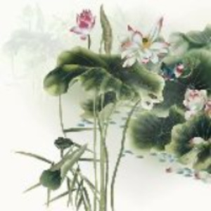 wenyuyan的头像